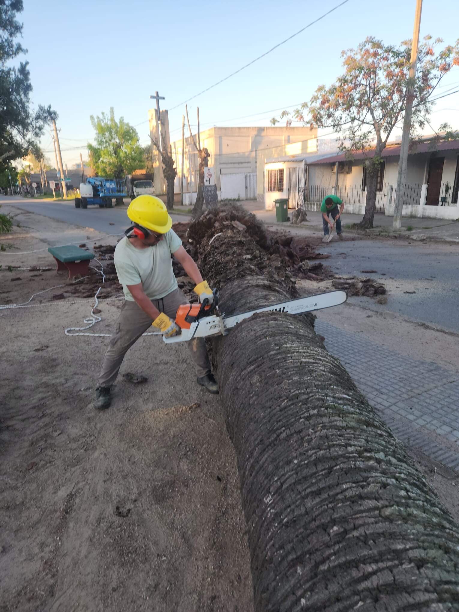Trabajo de remoción con motosierra