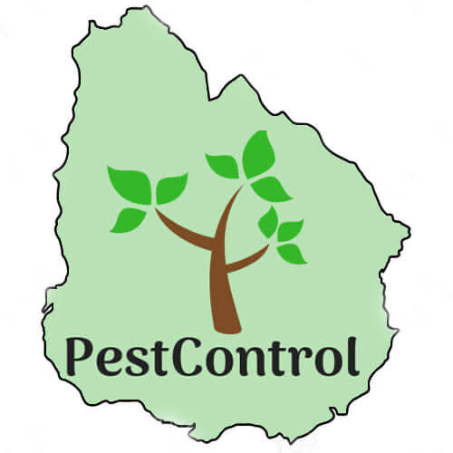 Pest Control Logo